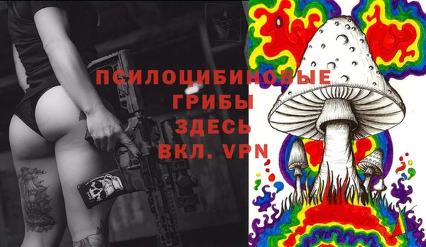 гидра Алексеевка