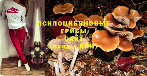 гидра Алексеевка