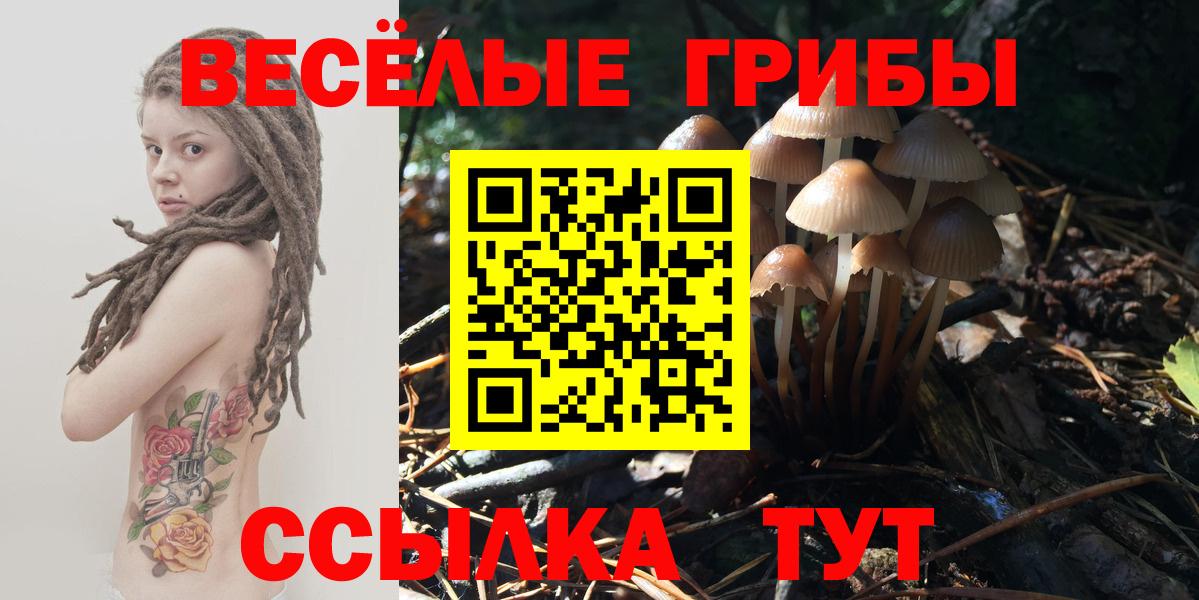 где купить наркоту  Псилоцибиновые грибы ЛСД  Вход с VPN  Канск 
