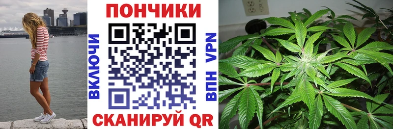 Бошки Шишки OG Kush  Канск 
